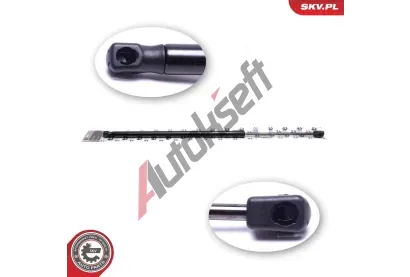 ESEN SKV Plynov vzpra zavazadlovho prostoru ESN 52SKV798, 52SKV798