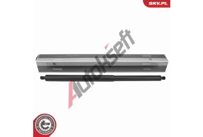 ESEN SKV Plynov vzpra zavazadlovho prostoru ESN 52SKV837, 52SKV837