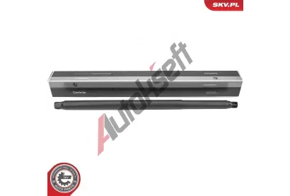 ESEN SKV Plynov� vzp�ra zavazadlov�ho prostoru ESN 52SKV842, 52SKV842