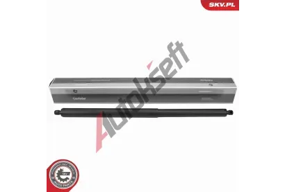 ESEN SKV Plynov vzpra zavazadlovho prostoru ESN 52SKV847, 52SKV847