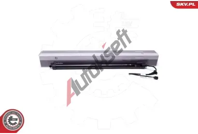 ESEN SKV Elektromotor, zadn dvee ESN 52SKV900, 52SKV900