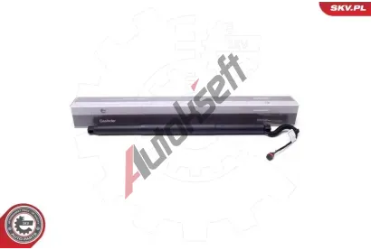 ESEN SKV Elektromotor, zadn dvee ESN 52SKV904, 52SKV904