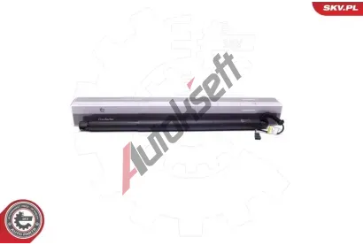 ESEN SKV Elektromotor, zadn� dve�e ESN 52SKV905, 52SKV905