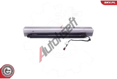 ESEN SKV Elektromotor, zadní dveře ESN 52SKV907, 52SKV907  ESEN SKV Elektromotor, zadní dveře ESN 52SKV907, 52SKV907