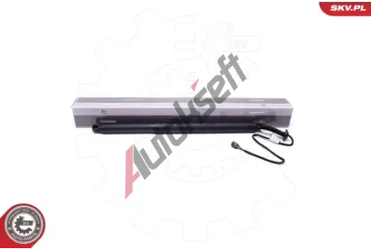 ESEN SKV Elektromotor, zadn dvee ESN 52SKV911, 52SKV911
