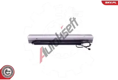ESEN SKV Elektromotor, zadn dvee ESN 52SKV918, 52SKV918