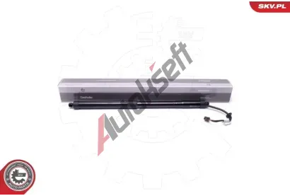 ESEN SKV Elektromotor, zadn dvee ESN 52SKV919, 52SKV919