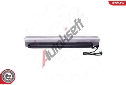 ESEN SKV Elektromotor, zadn� dve�e ESN 52SKV921, 52SKV921