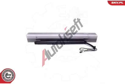 ESEN SKV Elektromotor, zadní dveře ESN 52SKV923, 52SKV923 ESEN SKV Elektromotor, zadní dveře ESN 52SKV923, 52SKV923