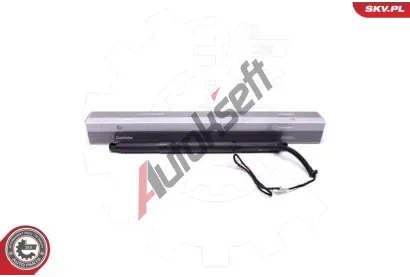 ESEN SKV Elektromotor, zadní dveře ESN 52SKV926, 52SKV926 ESEN SKV Elektromotor, zadní dveře ESN 52SKV926, 52SKV926