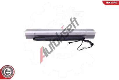 ESEN SKV Elektromotor, zadn� dve�e ESN 52SKV936, 52SKV936