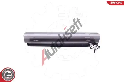 ESEN SKV Elektromotor, zadn dvee ESN 52SKV941, 52SKV941