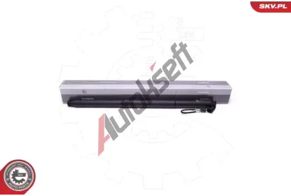 ESEN SKV Elektromotor, zadn dvee ESN 52SKV943, 52SKV943