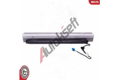 ESEN SKV Elektromotor, zadn dvee ESN 52SKV948, 52SKV948