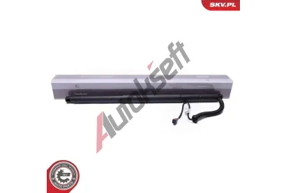 ESEN SKV Elektromotor, zadn dvee ESN 52SKV959, 52SKV959