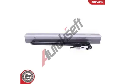 ESEN SKV Elektromotor, zadn dvee ESN 52SKV966, 52SKV966