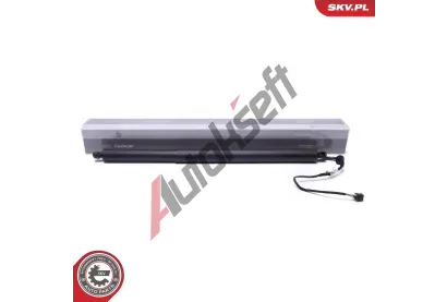 ESEN SKV Elektromotor, zadn� dve�e ESN 52SKV967, 52SKV967