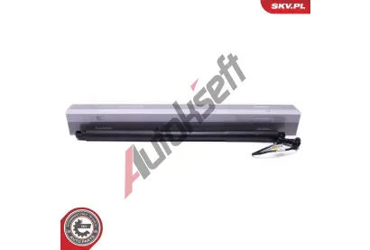 ESEN SKV Elektromotor, zadn dvee ESN 52SKV968, 52SKV968