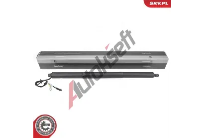 ESEN SKV Elektromotor, zadní dveře ESN 52SKV973, 52SKV973 ESEN SKV Elektromotor, zadní dveře ESN 52SKV973, 52SKV973