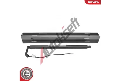 ESEN SKV Elektromotor, zadn� dve�e ESN 52SKV979, 52SKV979