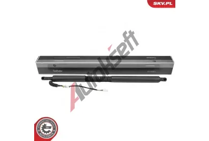 ESEN SKV Elektromotor, zadn� dve�e ESN 52SKV981, 52SKV981