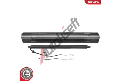 ESEN SKV Elektromotor, zadní dveře ESN 52SKV982, 52SKV982 ESEN SKV Elektromotor, zadní dveře ESN 52SKV982, 52SKV982