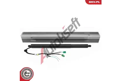 ESEN SKV Elektromotor, zadní dveře ESN 52SKV983, 52SKV983 ESEN SKV Elektromotor, zadní dveře ESN 52SKV983, 52SKV983