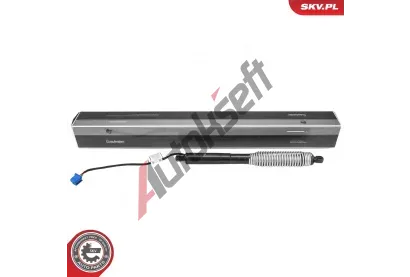 ESEN SKV Elektromotor, zadn dvee ESN 52SKV985, 52SKV985