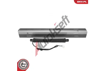 ESEN SKV Elektromotor, zadn� dve�e ESN 52SKV987, 52SKV987