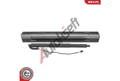 ESEN SKV Elektromotor, zadní dveře ESN 52SKV988, 52SKV988 ESEN SKV Elektromotor, zadní dveře ESN 52SKV988, 52SKV988