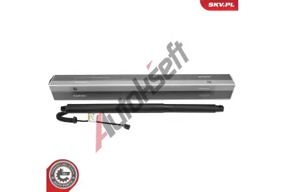 ESEN SKV Elektromotor, zadn� dve�e ESN 52SKV991, 52SKV991