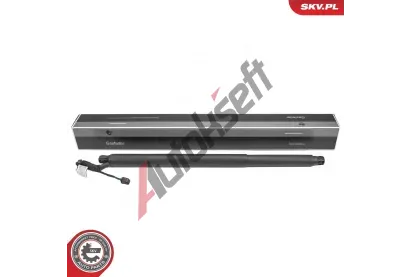 ESEN SKV Elektromotor, zadní dveře ESN 52SKV995, 52SKV995 ESEN SKV Elektromotor, zadní dveře ESN 52SKV995, 52SKV995