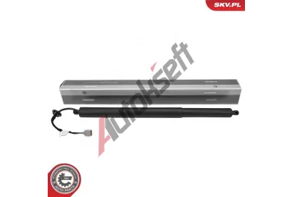 ESEN SKV Elektromotor, zadn dvee ESN 52SKV996, 52SKV996