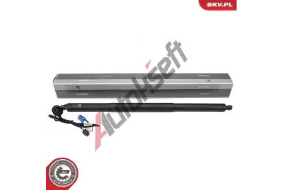 ESEN SKV Elektromotor, zadn dvee ESN 52SKV998, 52SKV998