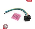 ESEN SKV Opravn� sada kabel�, koncov� sv�tlo ESN 53SKV184, 53SKV184