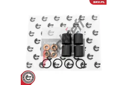 ESEN SKV Sada na opravu vstřikovací trysky ESN 53SKV186, 53SKV186 ESEN SKV Sada na opravu vstřikovací trysky ESN 53SKV186, 53SKV186