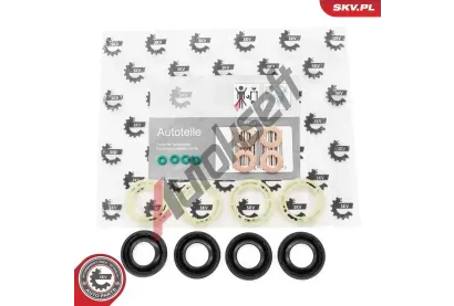 ESEN SKV Sada těsnění vstřikovací trysky ESN 53SKV189, 53SKV189 ESEN SKV Sada těsnění vstřikovací trysky ESN 53SKV189, 53SKV189