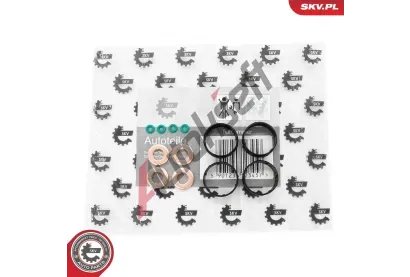 ESEN SKV Sada t�sn�n� vst�ikovac� trysky ESN 53SKV191, 53SKV191