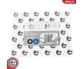 ESEN SKV Sada t�snic�ch krou�k� vst�ikovac�ho ventilu&nbsp;&dash;&nbsp;ESN 53SKV194