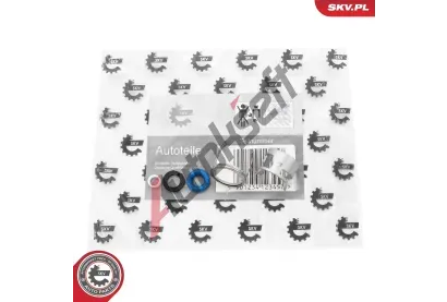 ESEN SKV Sada těsnicích kroužků vstřikovacího ventilu ESN 53SKV194, 53SKV194 ESEN SKV Sada těsnicích kroužků vstřikovacího ventilu ESN 53SKV194, 53SKV194