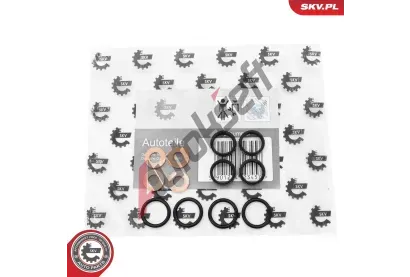 ESEN SKV Sada těsnění vstřikovací trysky ESN 53SKV195, 53SKV195 ESEN SKV Sada těsnění vstřikovací trysky ESN 53SKV195, 53SKV195