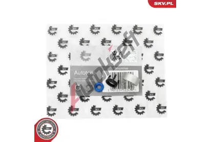 ESEN SKV Sada t�snic�ch krou�k� vst�ikovac�ho ventilu ESN 53SKV196, 53SKV196