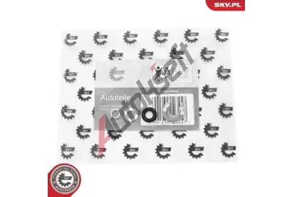 ESEN SKV Sada t�snic�ch krou�k� vst�ikovac�ho ventilu ESN 53SKV199, 53SKV199