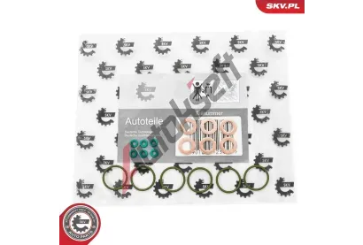 ESEN SKV Sada t�snic�ch krou�k� vst�ikovac�ho ventilu ESN 53SKV200, 53SKV200