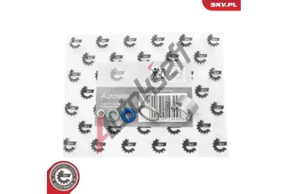 ESEN SKV Sada na opravu vst�ikovac� trysky ESN 53SKV295, 53SKV295