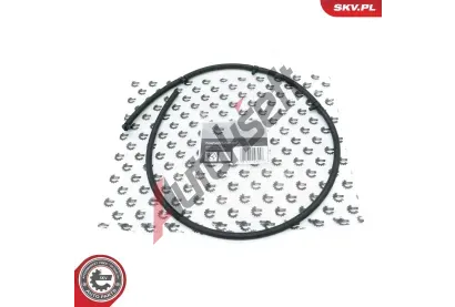 ESEN SKV Hadice unikání paliva ESN 54SKV319, 54SKV319 ESEN SKV Hadice unikání paliva ESN 54SKV319, 54SKV319