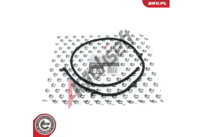 ESEN SKV Hadice unik�n� paliva ESN 54SKV381, 54SKV381