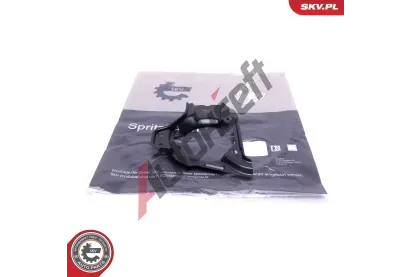 ESEN SKV Ochrann plech proti neistotm brzdovho kotoue ESN 57SKV185, 57SKV185