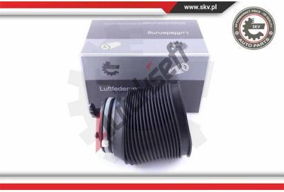 ESEN SKV Vzduchov pruina podvozku ESN 58SKV005, 58SKV005