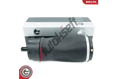 ESEN SKV Vzduchov pruina podvozku ESN 58SKV076, 58SKV076